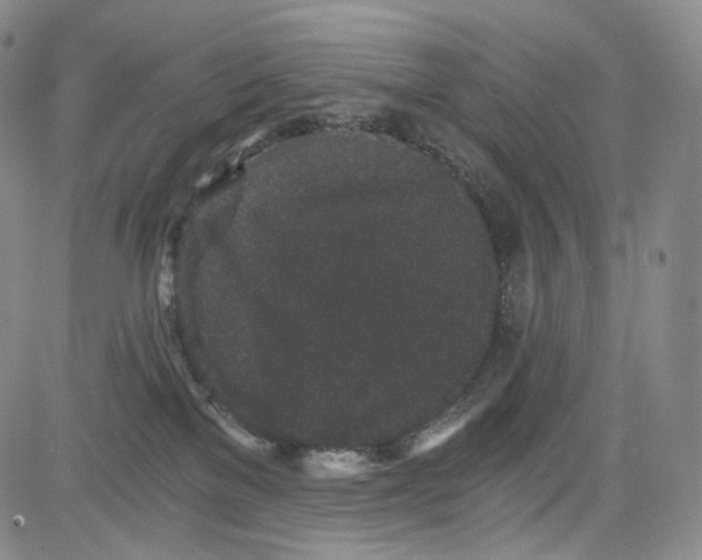 X0000084040137200703022158