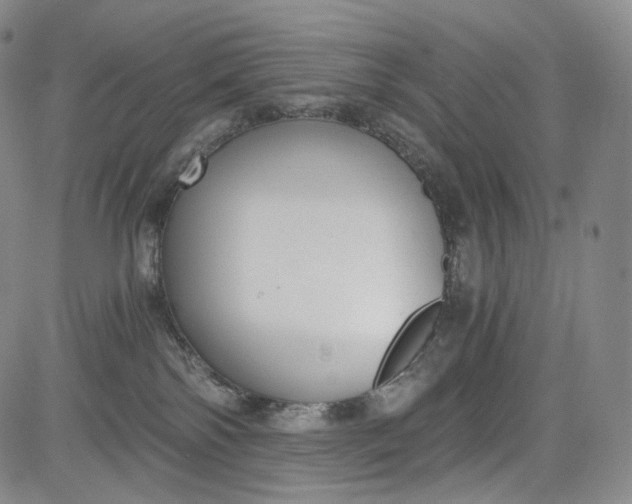 X0000084040138200703022158