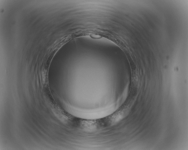 X0000084040139200703022158