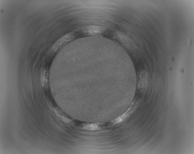 X0000084040140200703022158