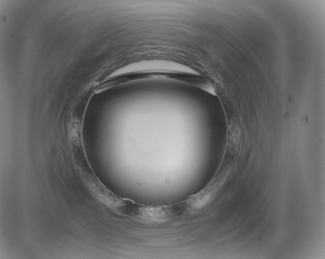 X0000084040141200703022158