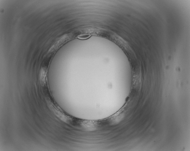 X0000084040142200703022158