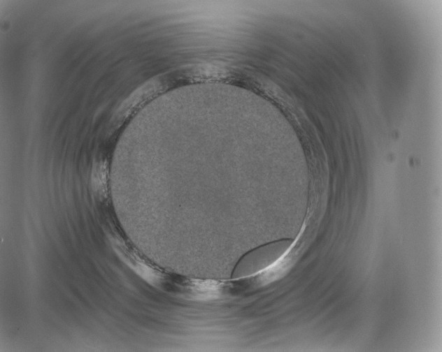 X0000084040144200703022158