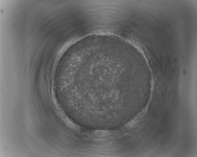 X0000084040145200703022157