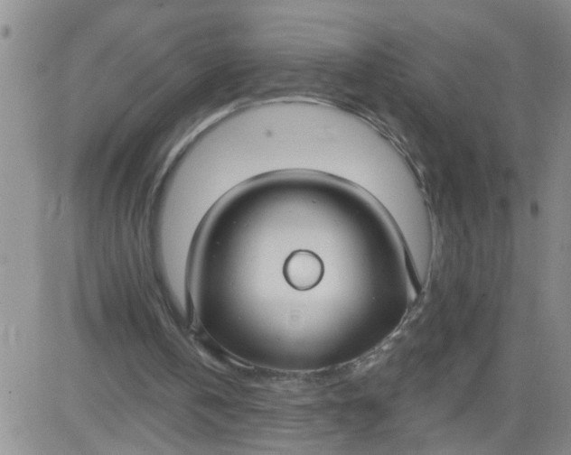 X0000084040146200703022157