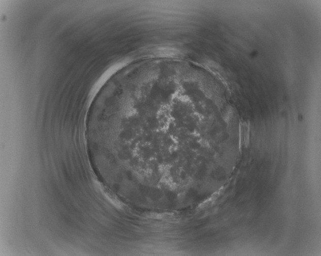 X0000084040147200703022157