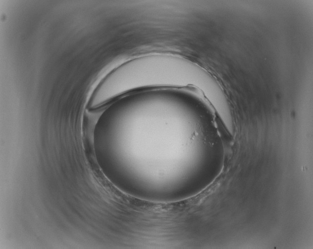 X0000084040148200703022157