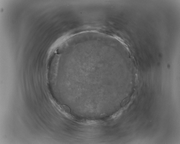 X0000084040149200703022158