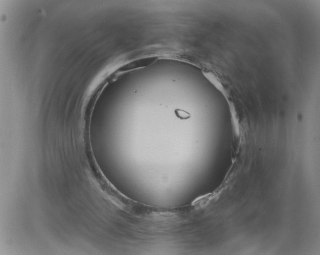 X0000084040150200703022158