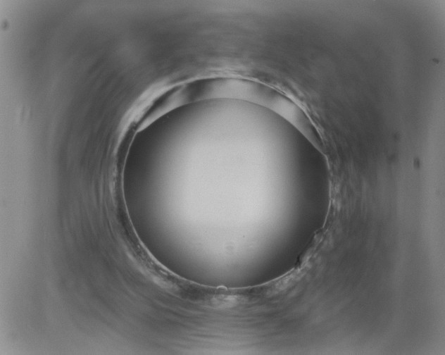 X0000084040152200703022158