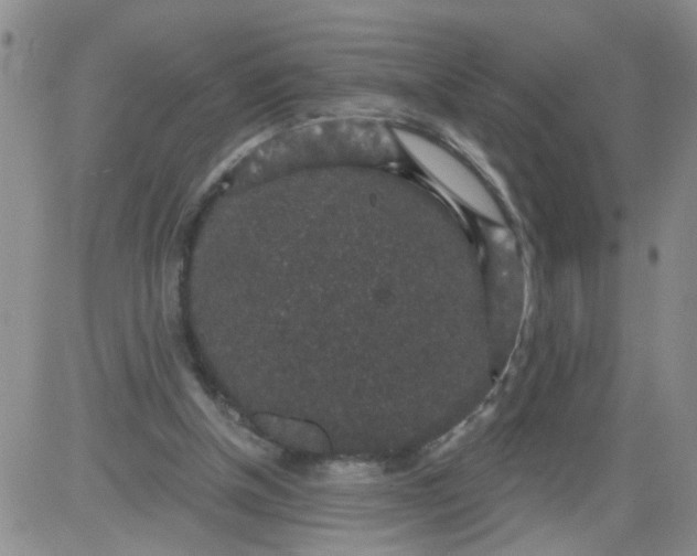 X0000084040154200703022158