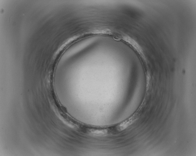 X0000084040155200703022158