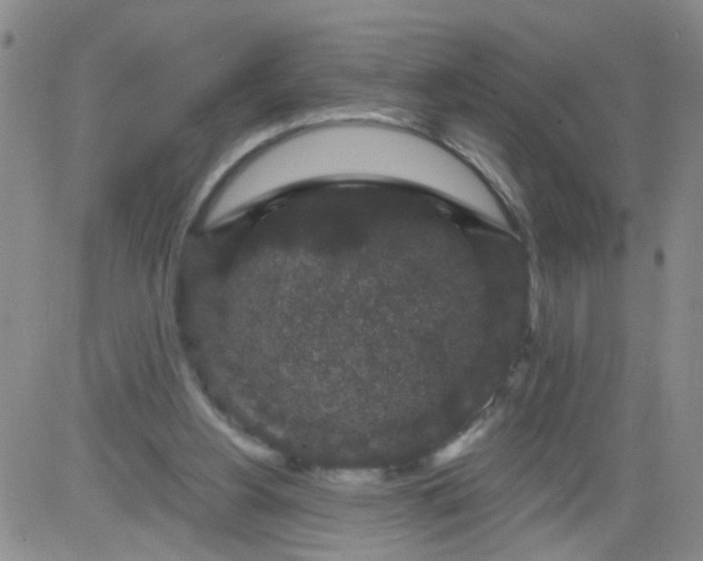 X0000084040156200703022158