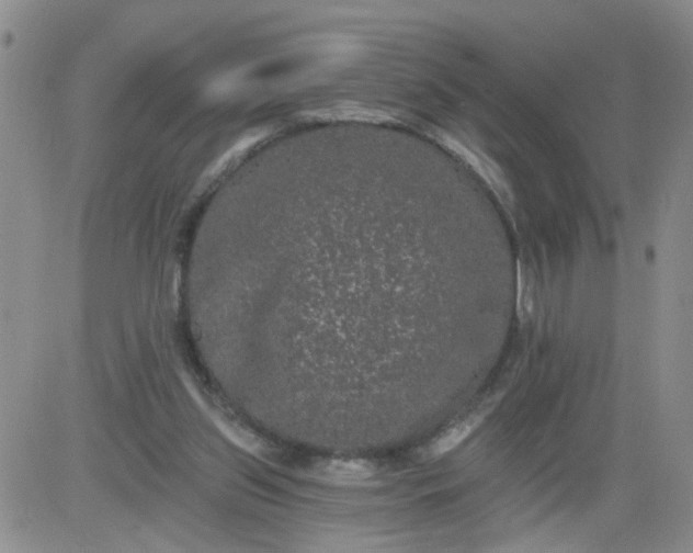 X0000084040157200703022158