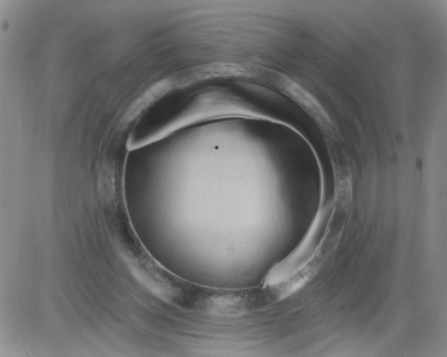 X0000084040158200703022158