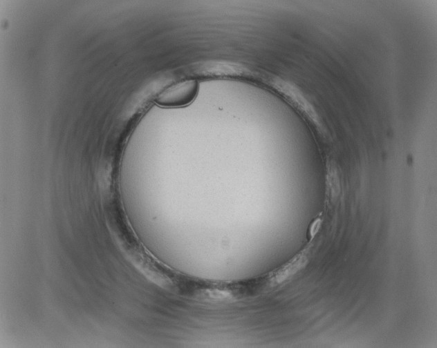 X0000084040159200703022158