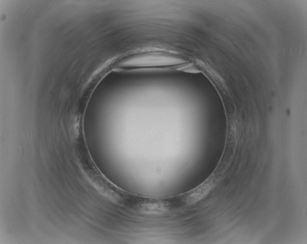 X0000084040160200703022158