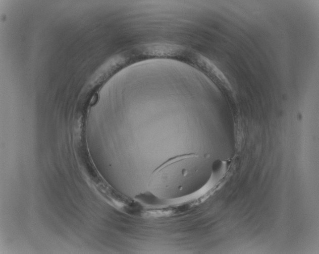 X0000084040163200703022158