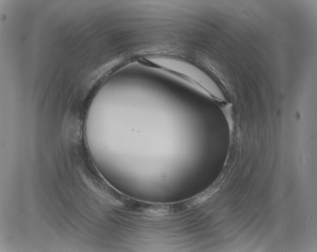 X0000084040164200703022158