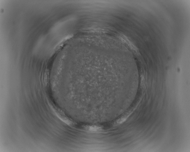 X0000084040165200703022158