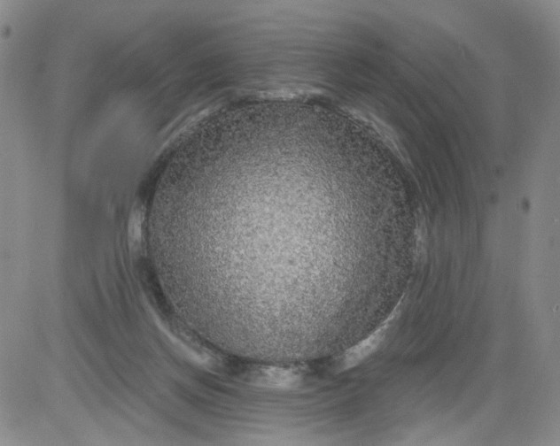 X0000084040166200703022158