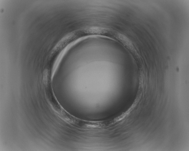 X0000084040167200703022158