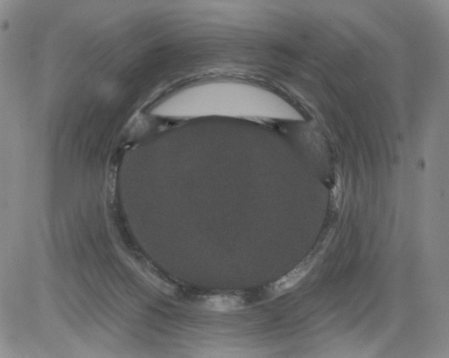 X0000084040168200703022158