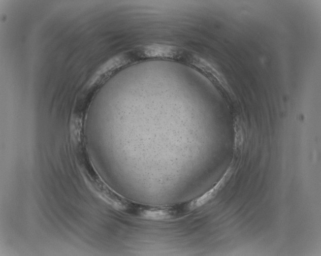 X0000084040171200703022158