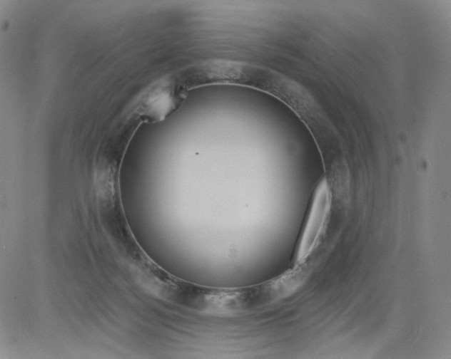 X0000084040172200703022158