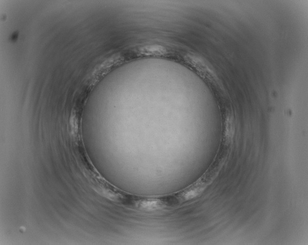 X0000084040173200703022158