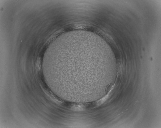 X0000084040174200703022158