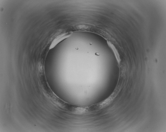 X0000084040176200703022158