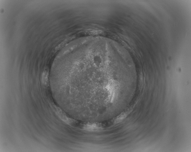 X0000084040177200703022158