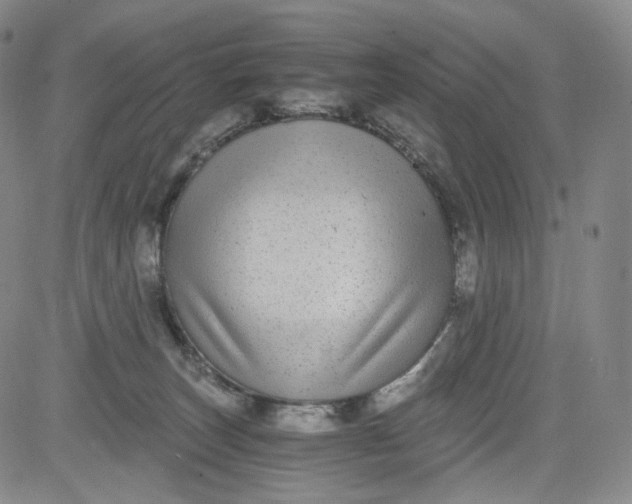 X0000084040179200703022158