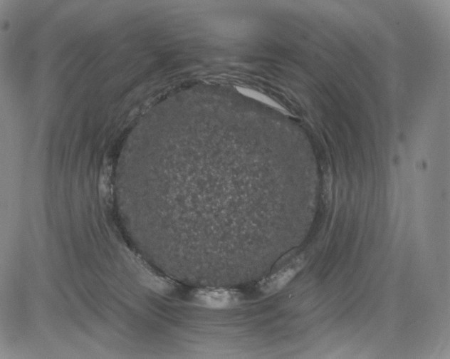 X0000084040181200703022158