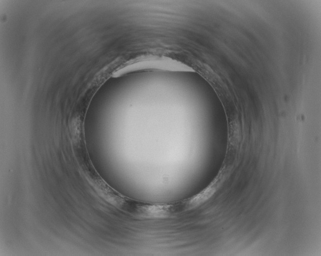 X0000084040184200703022158