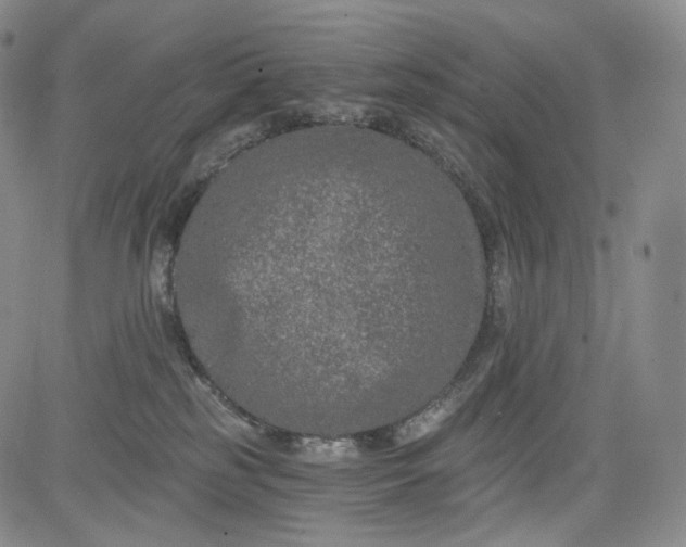 X0000084040185200703022158