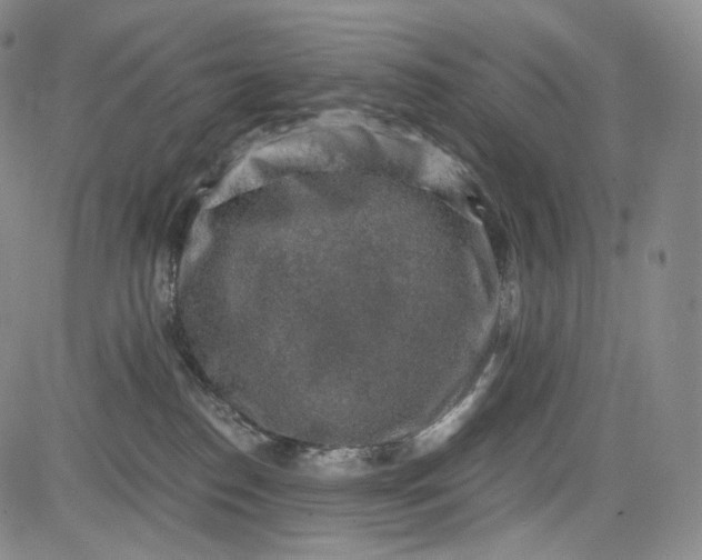 X0000084040186200703022158