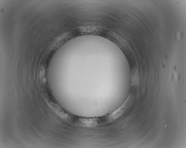 X0000084040187200703022158