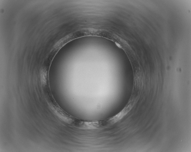 X0000084040188200703022158