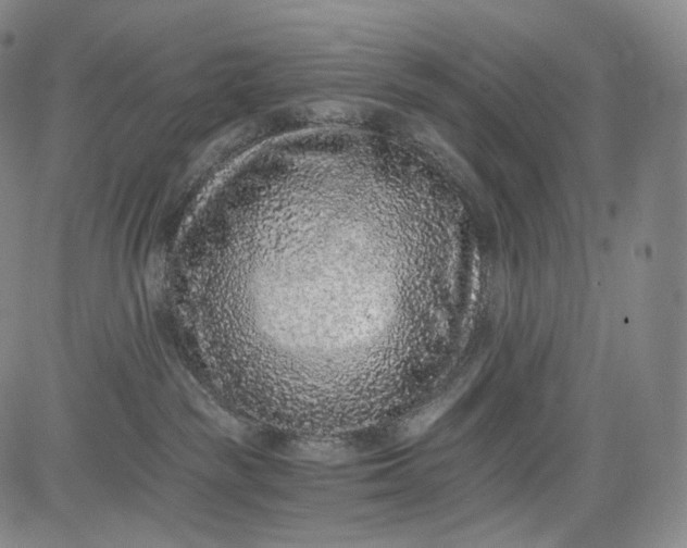 X0000084040189200703022158