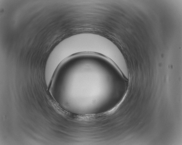 X0000084040190200703022158