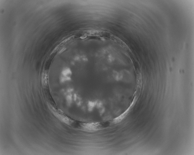 X0000084040191200703022158