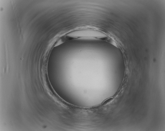 X0000084040193200703022157