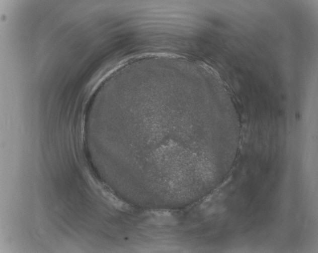 X0000084040194200703022157