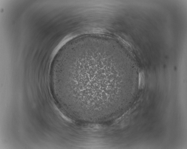 X0000084040195200703022157