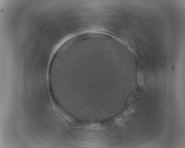 X0000084040196200703022157