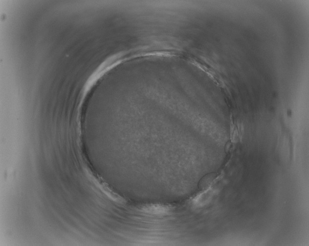 X0000084040198200703022157