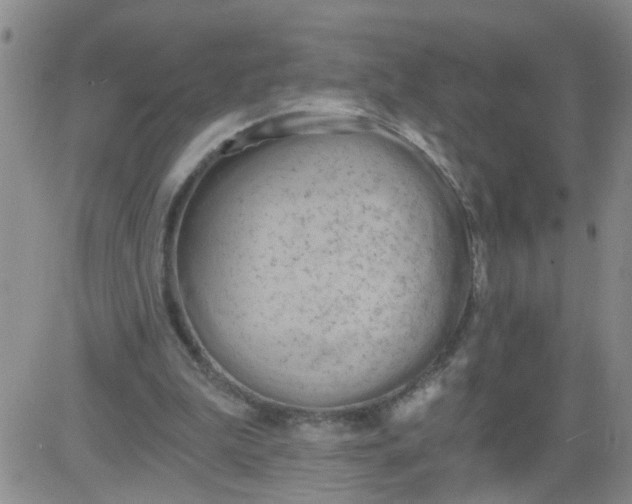 X0000084040199200703022157