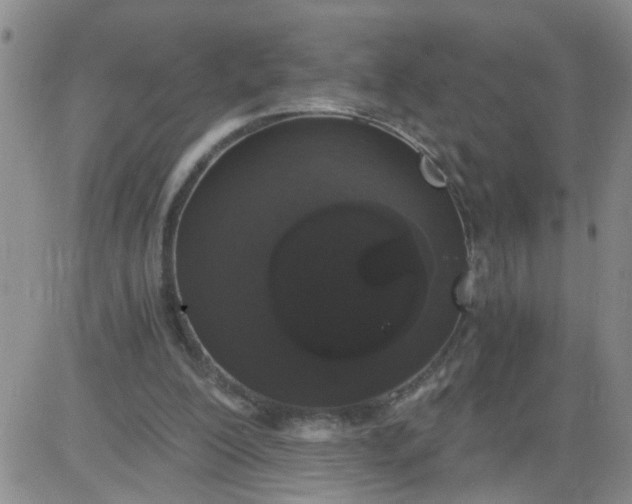 X0000084040200200703022157